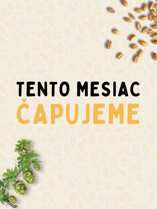 Vieš, čo tečie tento mesiac v @pifco.sk ?🍺 Na pípe máme čerstvo načapované novinky aj osvedčenú klasiku – pre tých, čo...